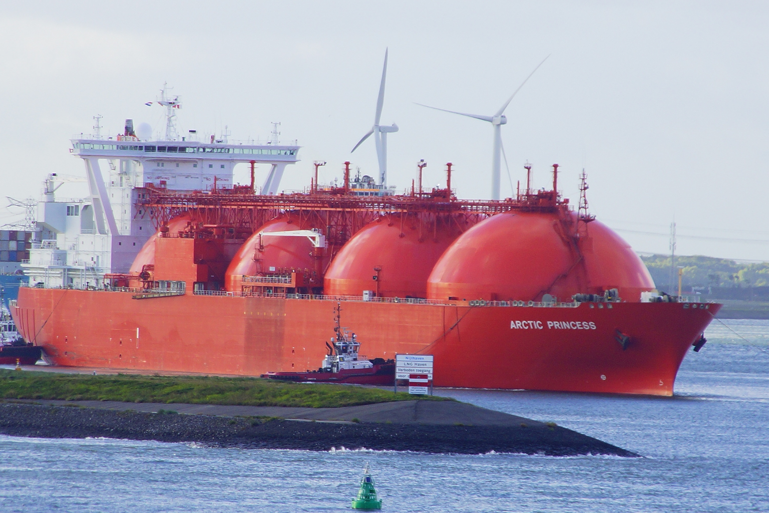 Untitled design (38)